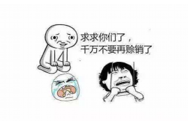 宜兴贷款清欠服务